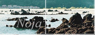 Apartamentos Villa de Noja