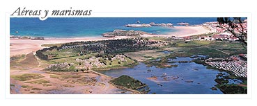 Las marismas y vistas aéreas de Noja
