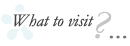 What to visit?