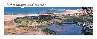The marshes and aerial views of Noja