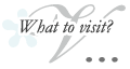 What to visit?